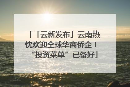 「云新发布」云南热忱欢迎全球华商侨企！“投资菜单”已备好