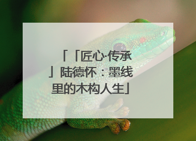 「匠心·传承」陆德怀：墨线里的木构人生