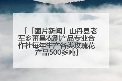 「图片新闻」山丹县老军乡蕃昌农副产品专业合作社每年生产各类玫瑰花产品500多吨