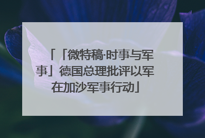 「微特稿·时事与军事」德国总理批评以军在加沙军事行动