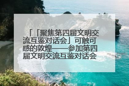 「聚焦第四届文明交流互鉴对话会」可触可感的敦煌——参加第四届文明交流互鉴对话会的外宾参观上元市集