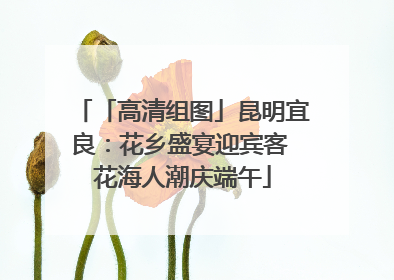 「高清组图」昆明宜良：花乡盛宴迎宾客 花海人潮庆端午