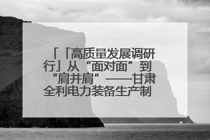 「高质量发展调研行」从“面对面”到“肩并肩”——甘肃全利电力装备生产制造项目一线见闻