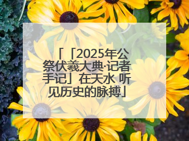 「2025年公祭伏羲大典·记者手记」在天水 听见历史的脉搏