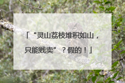 “灵山荔枝堆积如山，只能贱卖”？假的！
