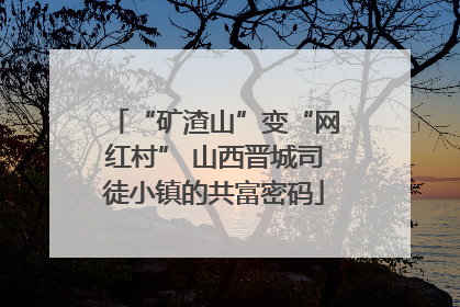 “矿渣山”变“网红村” 山西晋城司徒小镇的共富密码