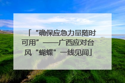 “确保应急力量随时可用”——广西应对台风“蝴蝶”一线见闻