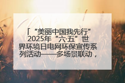 “美丽中国我先行” 2025年“六·五”世界环境日电网环保宣传系列活动——多场景联动，共筑生态发展新图景