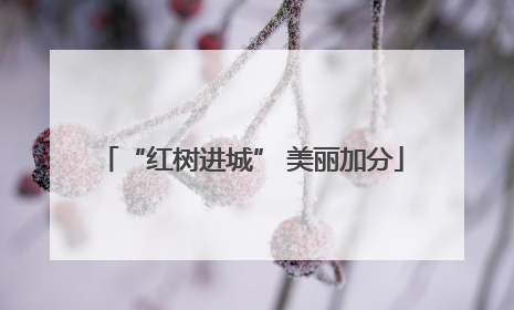 “红树进城” 美丽加分