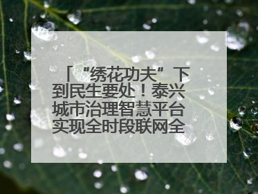 “绣花功夫”下到民生要处！泰兴城市治理智慧平台实现全时段联网全要素细治