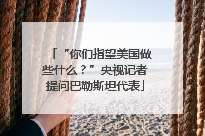“你们指望美国做些什么？”央视记者提问巴勒斯坦代表