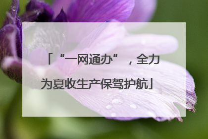 “一网通办”，全力为夏收生产保驾护航
