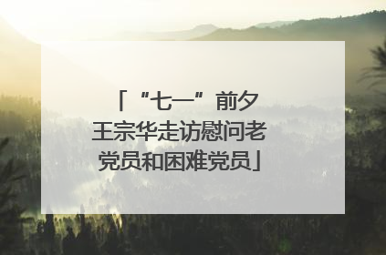 “七一”前夕 王宗华走访慰问老党员和困难党员