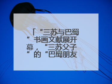 “三苏与巴蜀”书画文献展开幕，“三苏父子”的“巴蜀朋友圈”人物亮相