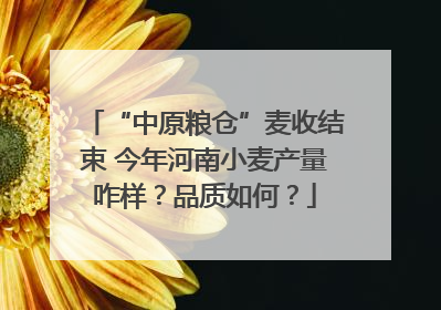 “中原粮仓”麦收结束 今年河南小麦产量咋样？品质如何？