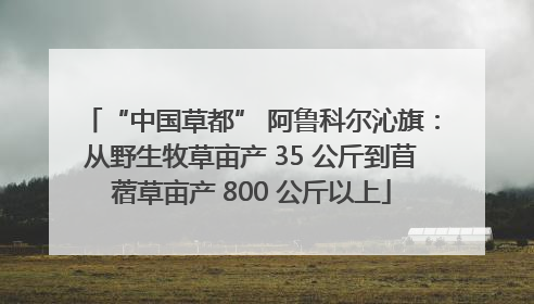 “中国草都” 阿鲁科尔沁旗：从野生牧草亩产 35 公斤到苜蓿草亩产 800 公斤以上