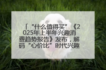 “什么值得买”《2025年上半年兴趣消费趋势报告》发布，解码“心价比”时代兴趣消费新范式