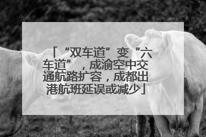 “双车道”变“六车道”，成渝空中交通航路扩容，成都出港航班延误或减少