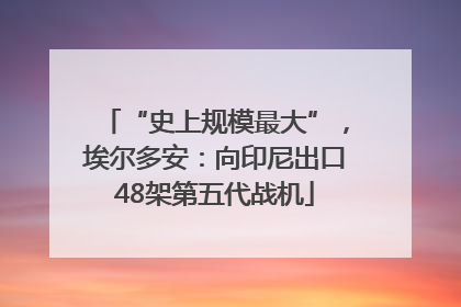 “史上规模最大”，埃尔多安：向印尼出口48架第五代战机
