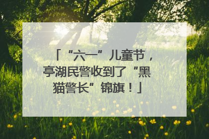 “六一”儿童节，亭湖民警收到了“黑猫警长”锦旗！