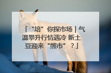 “培”你探市场｜气温攀升行情遇冷 新土豆迎来“熊市”？