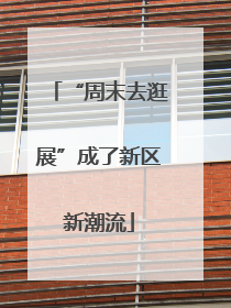“周末去逛展”成了新区新潮流