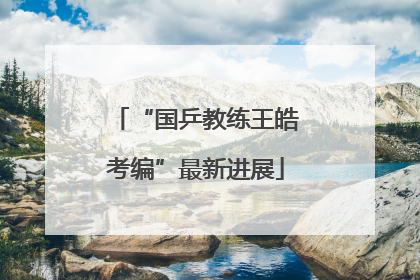 “国乒教练王皓考编”最新进展