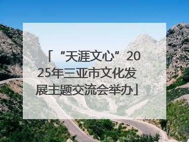 “天涯文心”2025年三亚市文化发展主题交流会举办