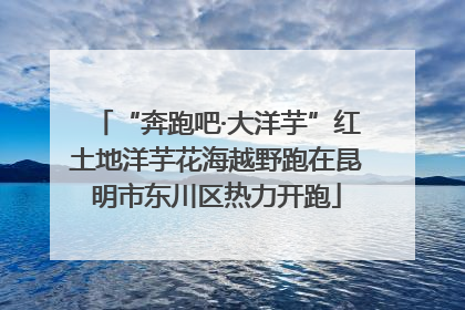 “奔跑吧·大洋芋”红土地洋芋花海越野跑在昆明市东川区热力开跑