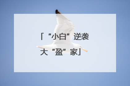 “小白”逆袭大“盈”家