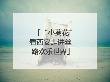 “小葵花”看西安走进丝路欢乐世界