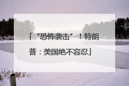 “恐怖袭击”！特朗普：美国绝不容忍
