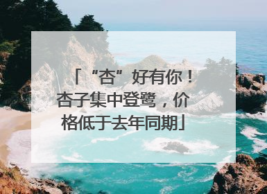 “杏”好有你！杏子集中登鹭，价格低于去年同期