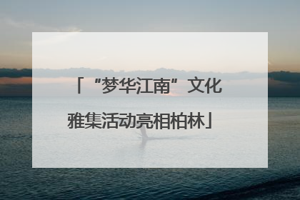 “梦华江南”文化雅集活动亮相柏林