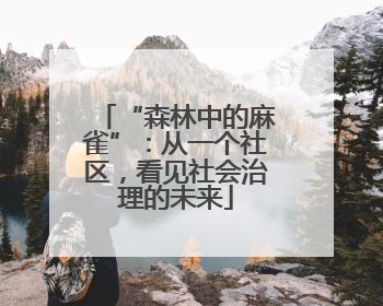 “森林中的麻雀”：从一个社区，看见社会治理的未来