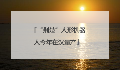“荆楚”人形机器人今年在汉量产