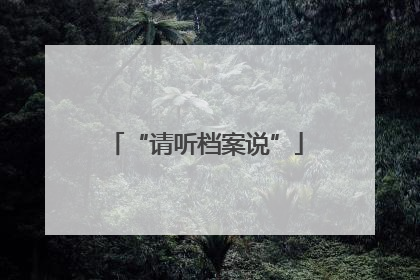 “请听档案说”