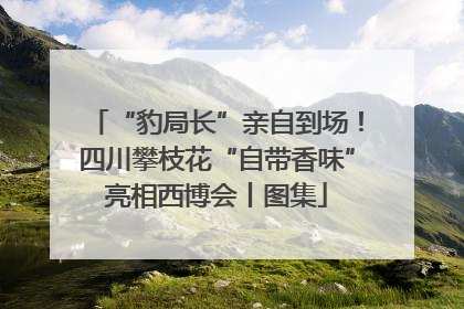 “豹局长”亲自到场！四川攀枝花“自带香味”亮相西博会丨图集