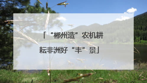 “郴州造”农机耕耘非洲好“丰”景