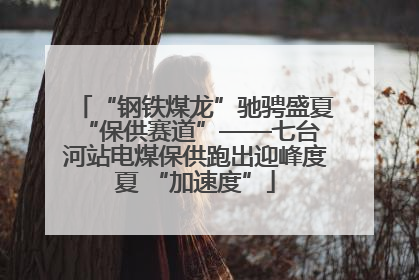 “钢铁煤龙”驰骋盛夏 “保供赛道”——七台河站电煤保供跑出迎峰度夏 “加速度”