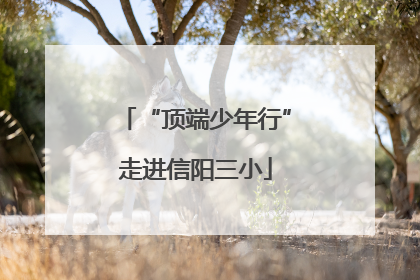 “顶端少年行”走进信阳三小