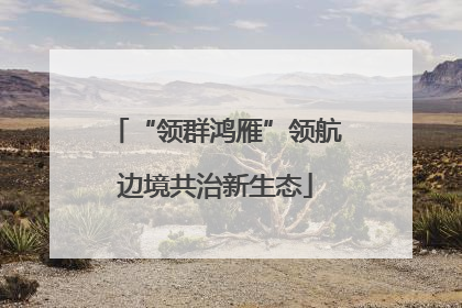 “领群鸿雁”领航边境共治新生态