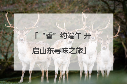 “香”约端午 开启山东寻味之旅