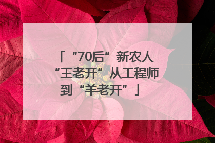 “70后”新农人“王老开”从工程师到“羊老开”