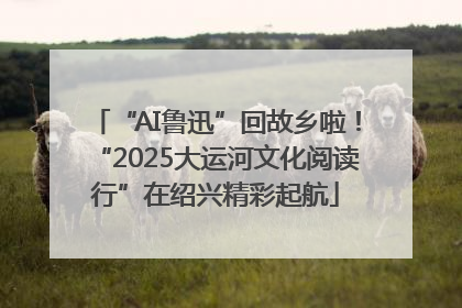 “AI鲁迅”回故乡啦！“2025大运河文化阅读行”在绍兴精彩起航