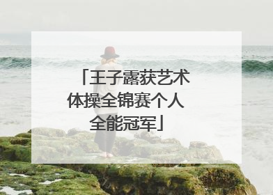 王子露获艺术体操全锦赛个人全能冠军