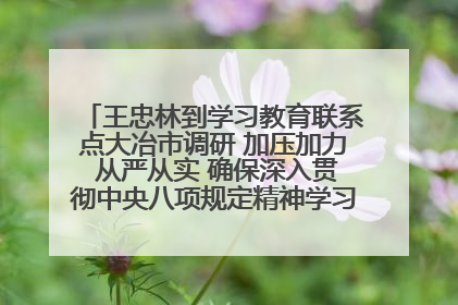 王忠林到学习教育联系点大冶市调研 加压加力 从严从实 确保深入贯彻中央八项规定精神学习教育取得实效