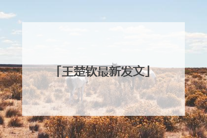 王楚钦最新发文