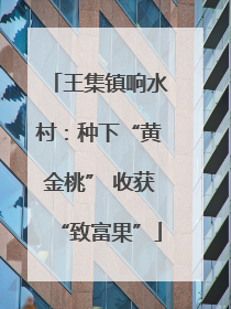 王集镇响水村：种下“黄金桃” 收获“致富果”