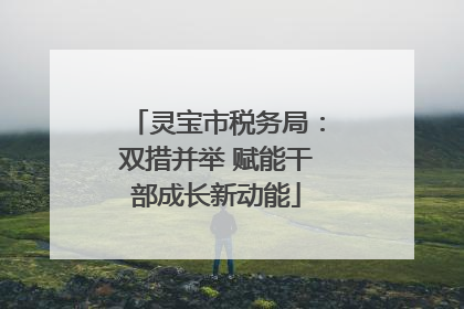 灵宝市税务局：双措并举 赋能干部成长新动能